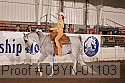 09yn-01103 proof