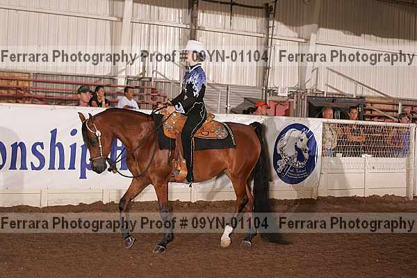 Proof 09yn-01104