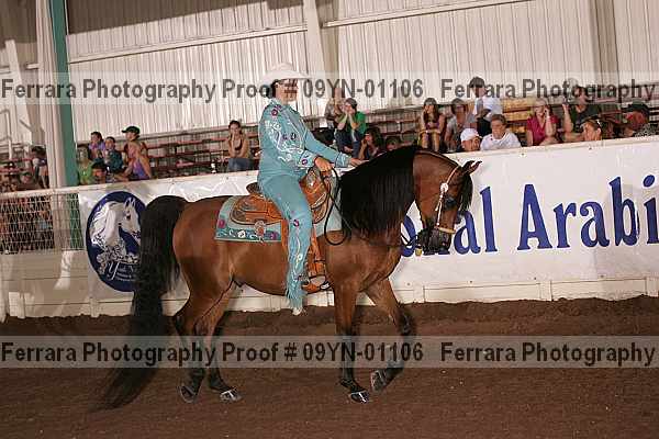 Proof 09yn-01106