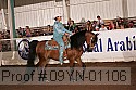 09yn-01106 proof
