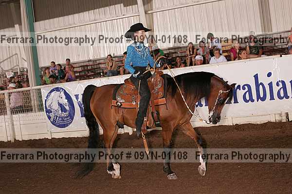 Proof 09yn-01108