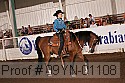09yn-01108 proof