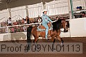 09yn-01113 proof
