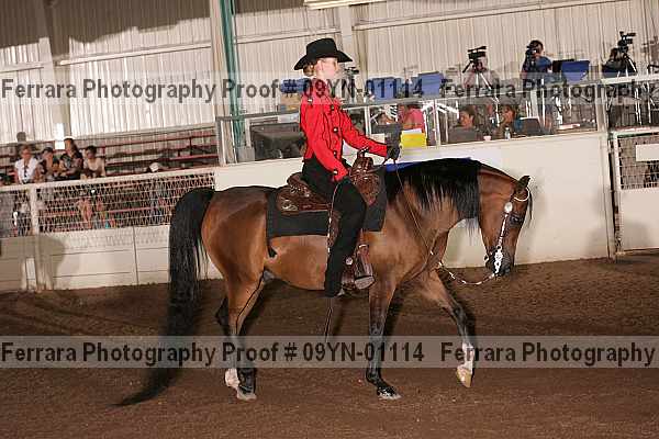 Proof 09yn-01114