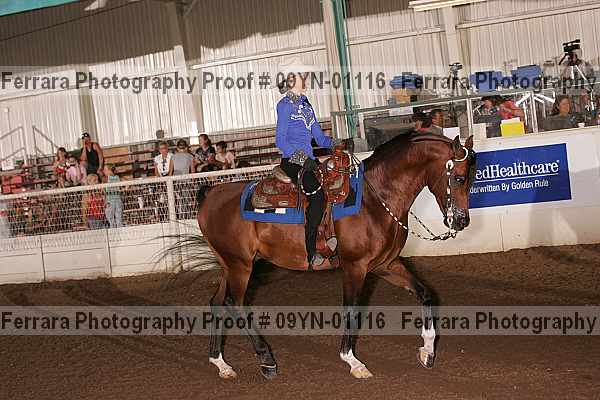 Proof 09yn-01116