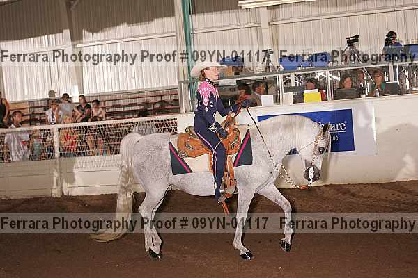 Proof 09yn-01117