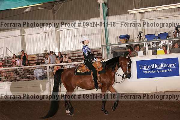 Proof 09yn-01118