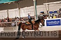 09yn-01118 proof