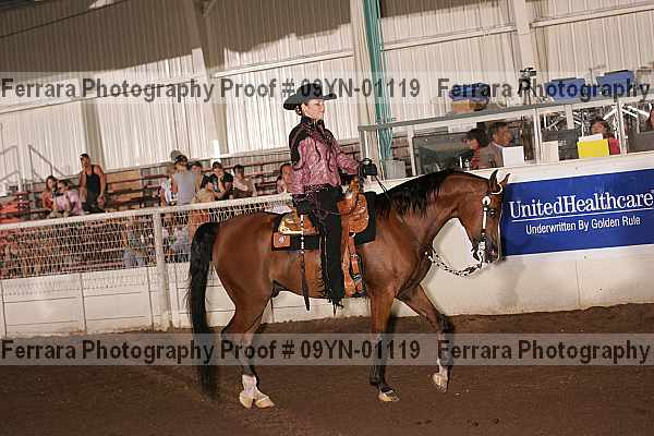 Proof 09yn-01119