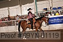 09yn-01119 proof