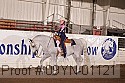 09yn-01121 proof