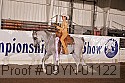 09yn-01122 proof