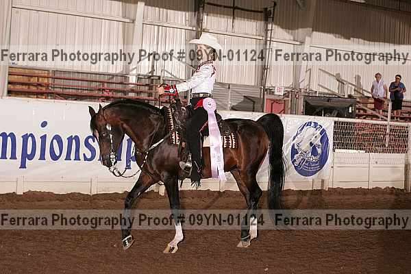 Proof 09yn-01124