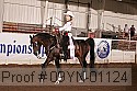 09yn-01124 proof