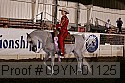 09yn-01125 proof