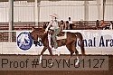 09yn-01127 proof