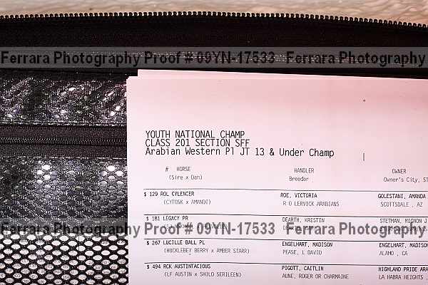 Proof 09yn-17533