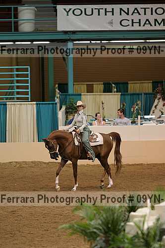 Proof 09yn-17535