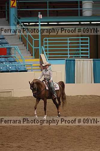 Proof 09yn-17536