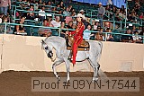 09yn-17544 proof