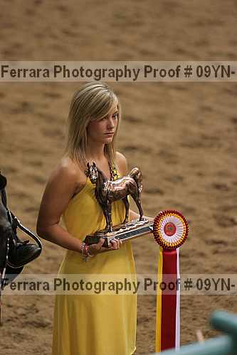 Proof 09yn-17583