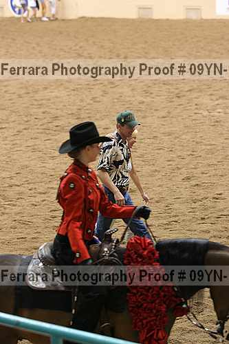 Proof 09yn-17619