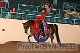 09yn-17633 proof
