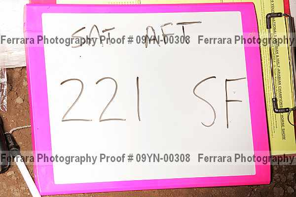 Proof 09yn-00308