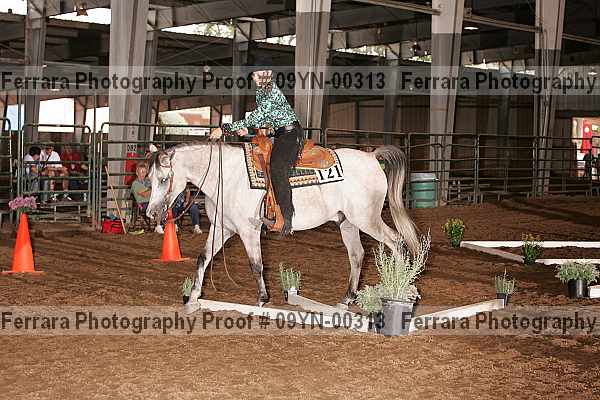 Proof 09yn-00313