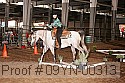 09yn-00313 proof