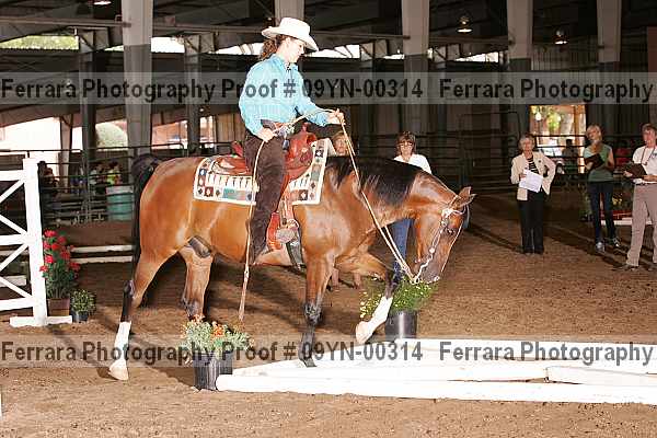 Proof 09yn-00314