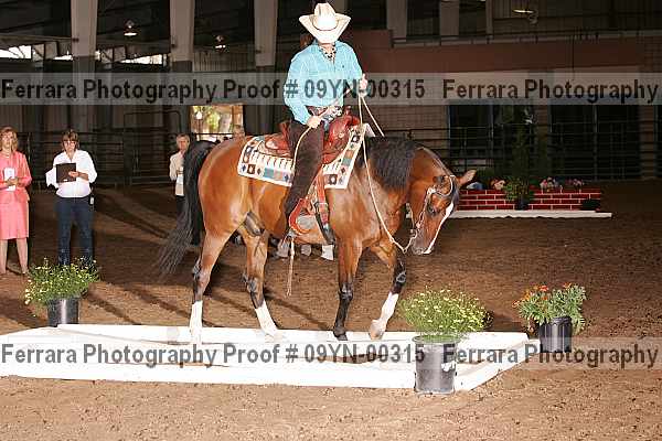 Proof 09yn-00315