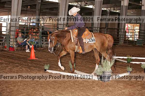 Proof 09yn-00321