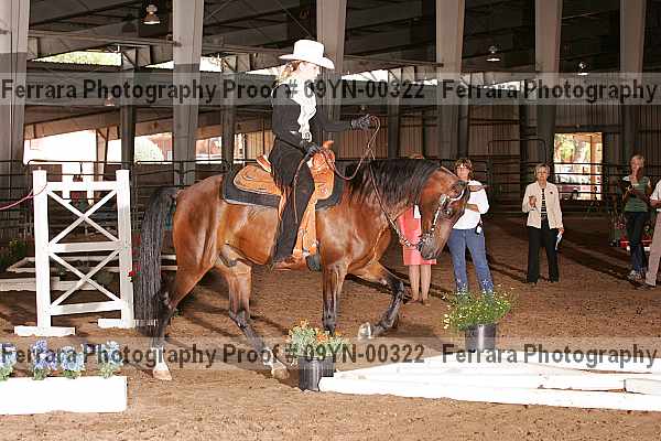 Proof 09yn-00322