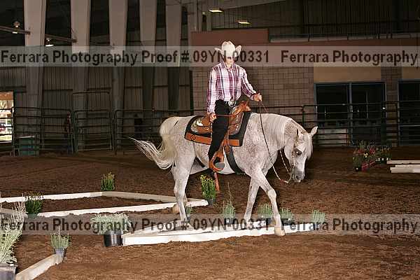 Proof 09yn-00331