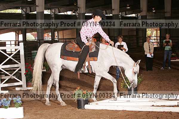 Proof 09yn-00334
