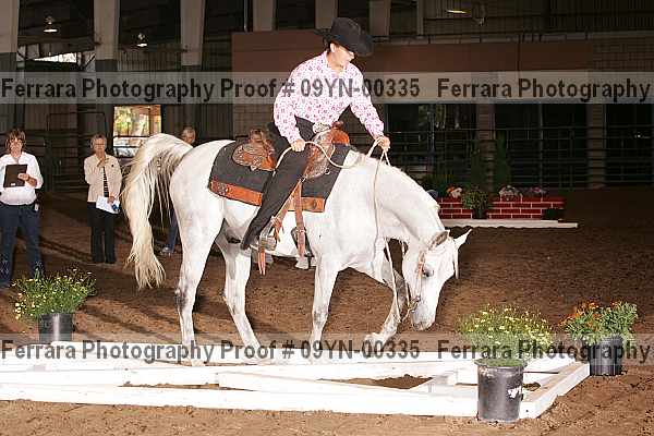 Proof 09yn-00335