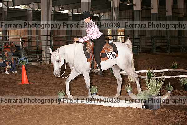 Proof 09yn-00339