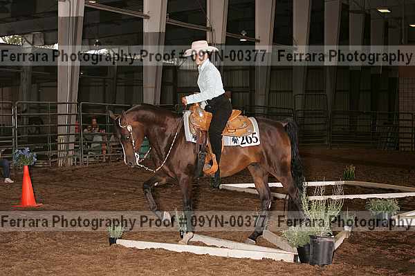 Proof 09yn-00377
