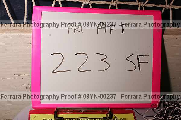 Proof 09yn-00237