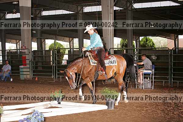 Proof 09yn-00242