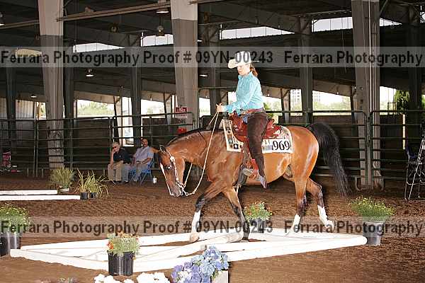 Proof 09yn-00243