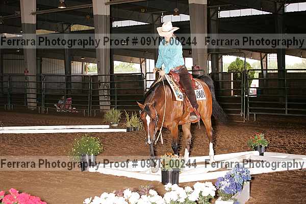 Proof 09yn-00244