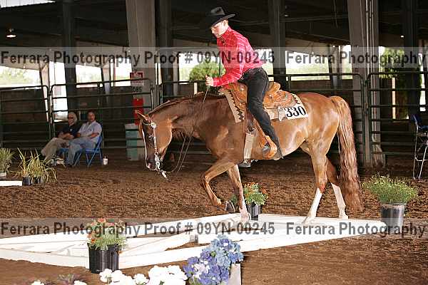 Proof 09yn-00245