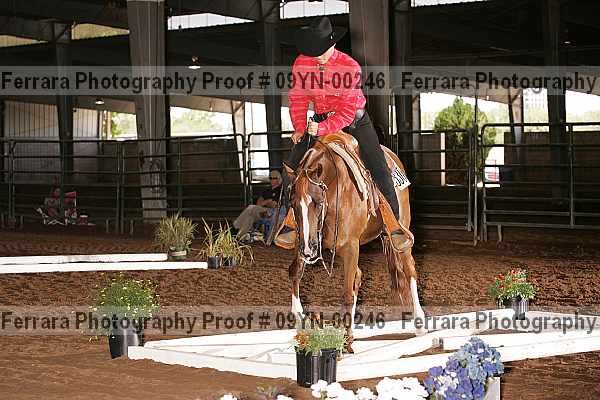 Proof 09yn-00246
