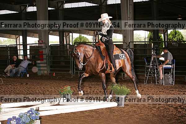 Proof 09yn-00254