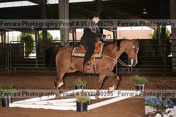 Proof 09yn-00255