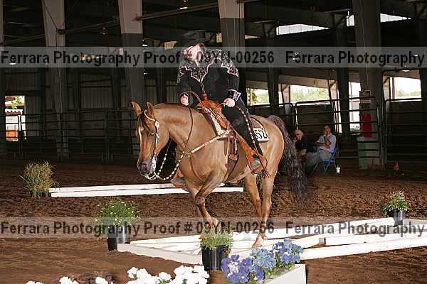 Proof 09yn-00256
