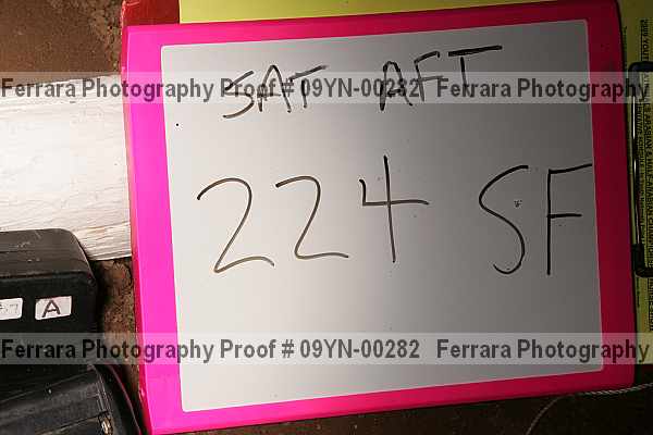 Proof 09yn-00282