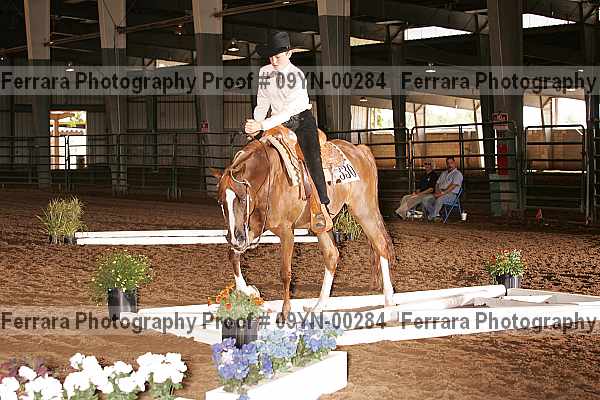 Proof 09yn-00284